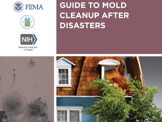 a flier with text and graphics