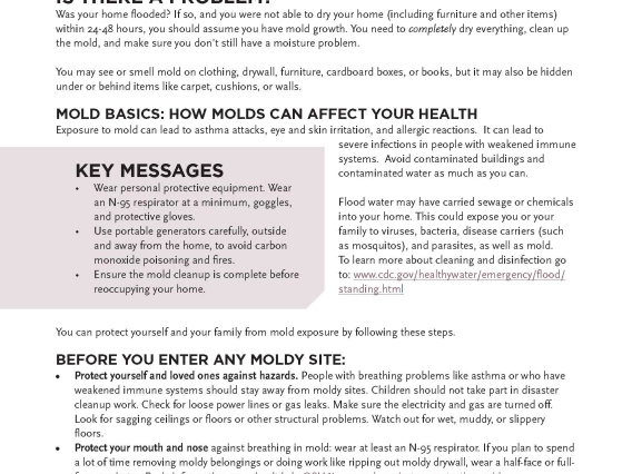 a flier with text and graphics