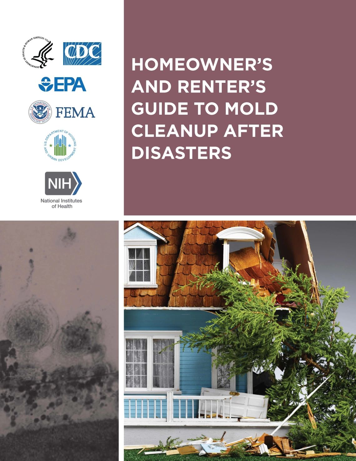 a flier with text and graphics